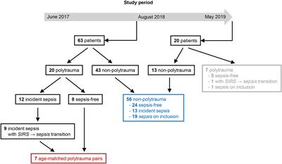 Pneumonia in the first week after polytrauma is associated with reduced blood levels of soluble herpes virus entry mediator